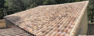 Grand pan de toiture en tuiles canal patinées aux teintes nuancées, bordé d'arbres